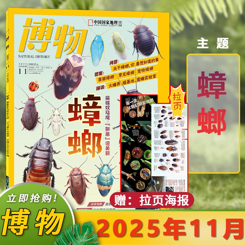 博物杂志2025年11月主题蟑螂