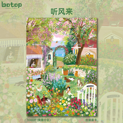 Botopfusion蓝卡听风来拼图