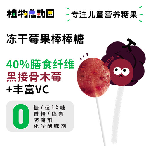 植物总动园黑接骨木莓VC高纤维