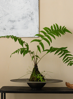 中式传承哑光和亮光相融合装饰碗客厅玄关样板间居家摆件装饰花器