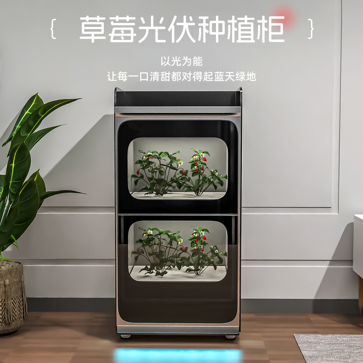智能草莓种植机光伏浆果种植柜校园科研教学教育展示家庭园艺种植