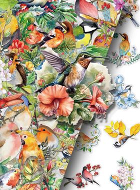 100张水彩小鸟贴纸可爱小动物装饰贴半透明手机壳手账素材贴画。