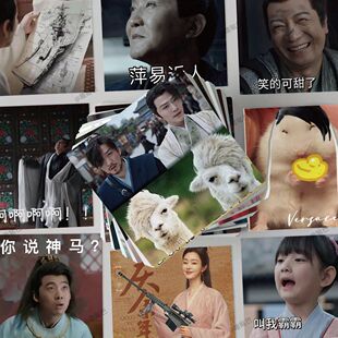 124张庆余年电视剧表情包贴纸搞笑沙雕张若昀周边装饰防水贴画diy
