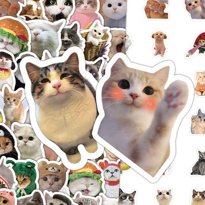 300张创意写实小猫贴纸高颜值