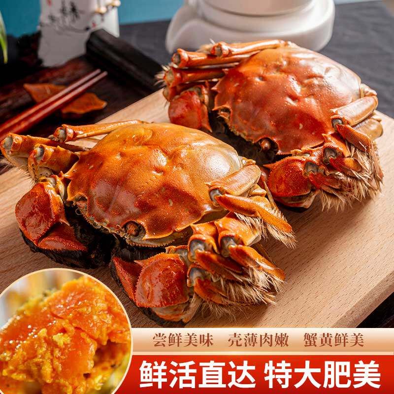 [活蟹]特大10只大闸蟹鲜活现货全母螃蟹官方旗舰阳澄礼盒湖鲜河蟹