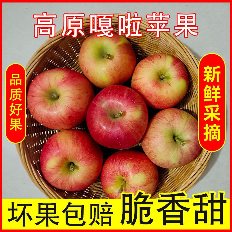 山西嘎啦苹果水果新鲜当季孕妇水果青红富士苹果冰糖心脆甜不打蜡