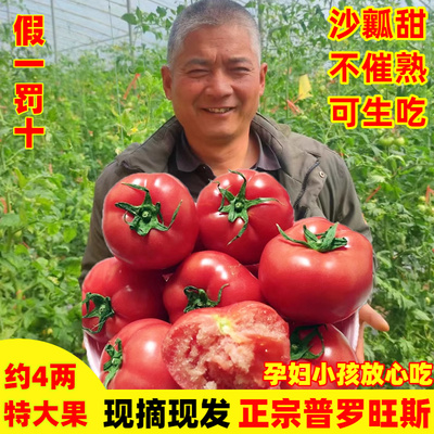 沙瓤！生吃！普罗旺斯水果西红柿