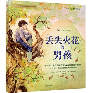 丢失火花的男孩注音版小小灯塔国际大奖小说小学生一二年级课外书籍6-7-8岁儿童童话故事书带拼音中信出版社正版玛吉·奥法瑞尔著