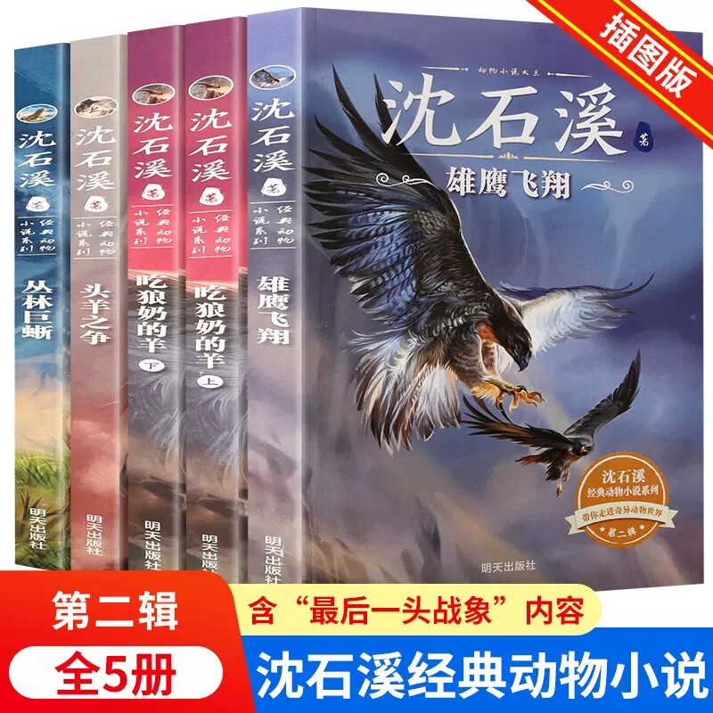 沈石溪经典动物小说系列第2辑全套5册雄鹰飞翔吃狼奶的羊头羊之争丛林