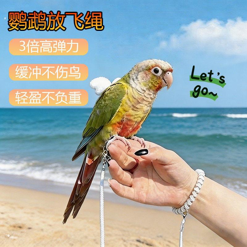 小太阳鹦鹉放飞绳3倍高弹力缓冲不伤鸟轻盈不负重鸟用放飞绳