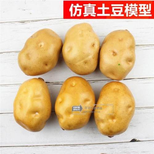 真蔬菜假土豆洋芋模型幼儿园启蒙活动道具丰收节装饰品橱柜摆件