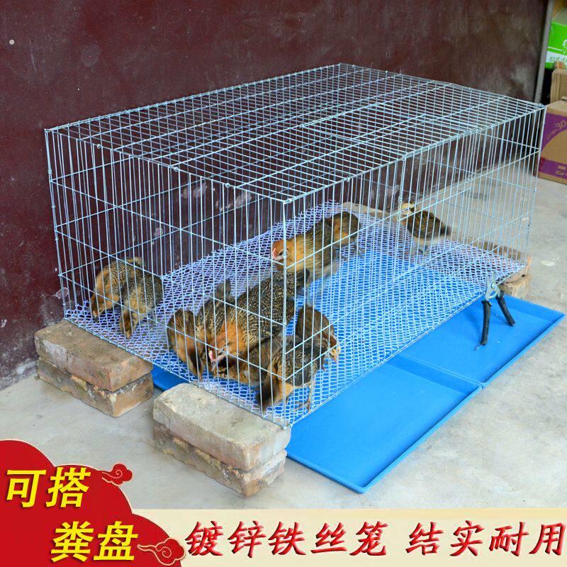 鸡笼子家用大号养殖笼小鸡笼子养鸡笼子育雏笼雏鸡笼大型鸡窝设备