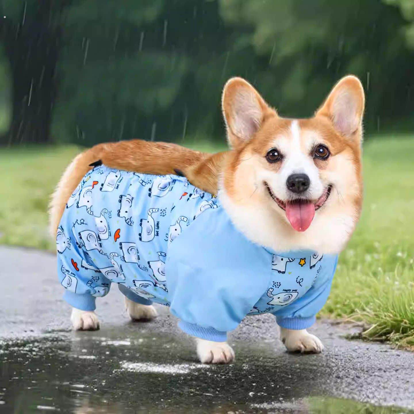 宠物狗狗雨衣防水防脏肚兜柯基四脚衣护肚中型犬雪纳瑞防尘裤衣服