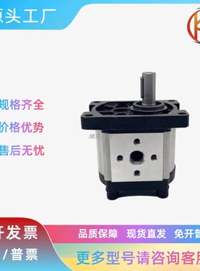 齿轮泵CBT-E100.19/E100.26/E100.38/E100.45/E100.60E100.75TRYY