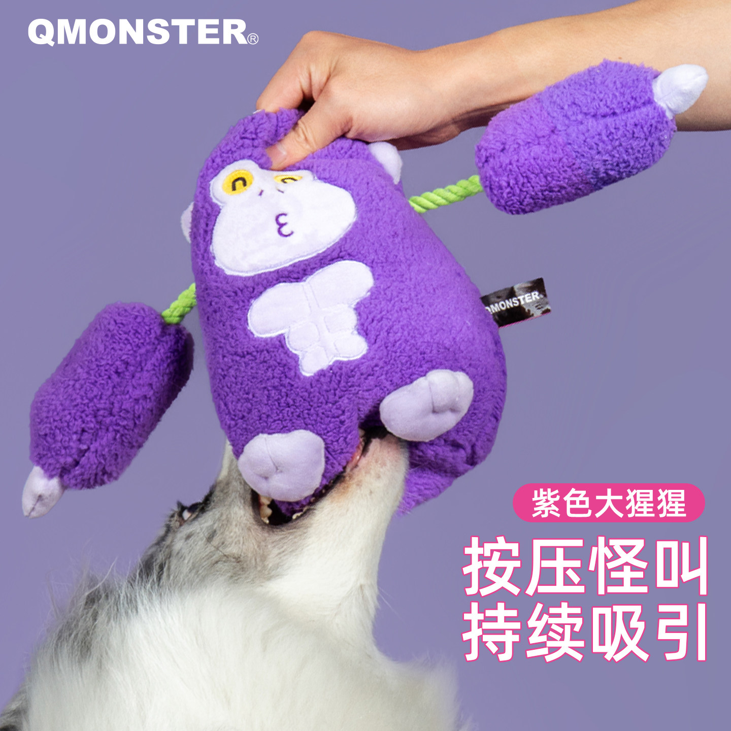 QMONSTER狗狗发声拔河毛绒玩具图片