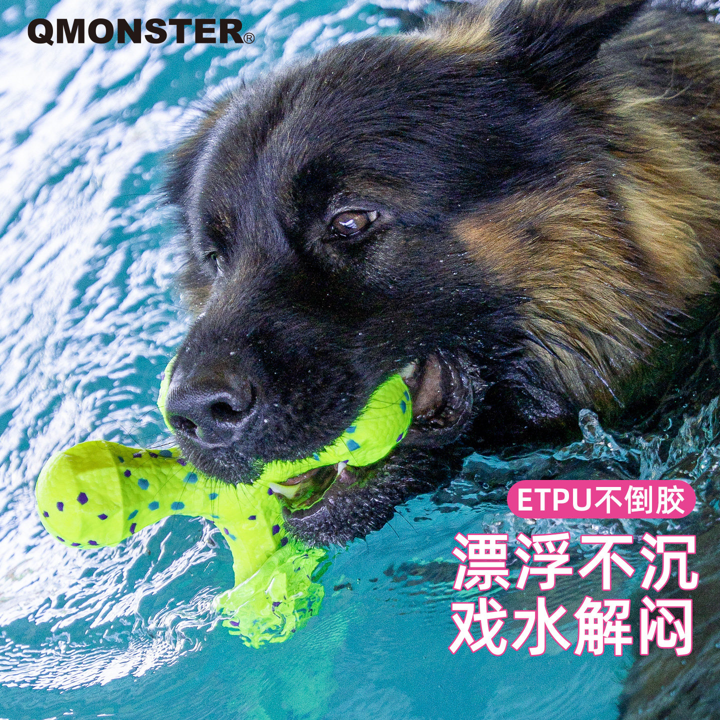 QMONSTER新品ETPU不倒胶磨牙玩具狗狗清洁齿玩具柔韧耐咬宠物用品