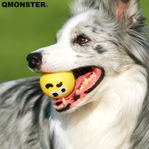 QMONSTERETPU耐咬磨牙狗球