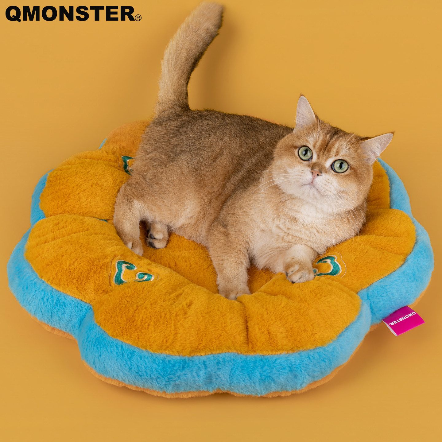 QMONSTER敦煌太阳花猫窝毛绒宠物窝猫咪睡觉垫子可爱造型保暖,宠物/宠物食品及用品,猫窝/屋/帐篷/沙发,淘宝优惠券,粉丝福利购,淘宝优惠卷