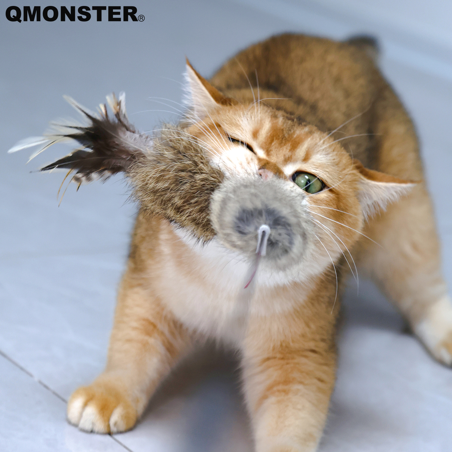 QMONSTER猫玩具自嗨解闷神器真皮逗猫棒羽毛耐咬养猫幼猫宠物用品
