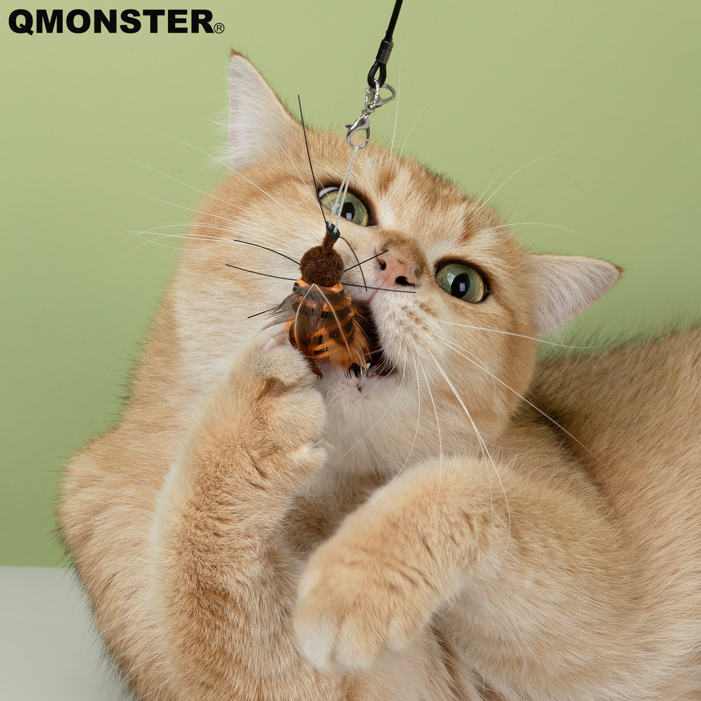 Qmonster昆虫系列逗猫棒猫玩具仿真响纸薄荷铃铛发声蟑螂蝴蝶蜜蜂