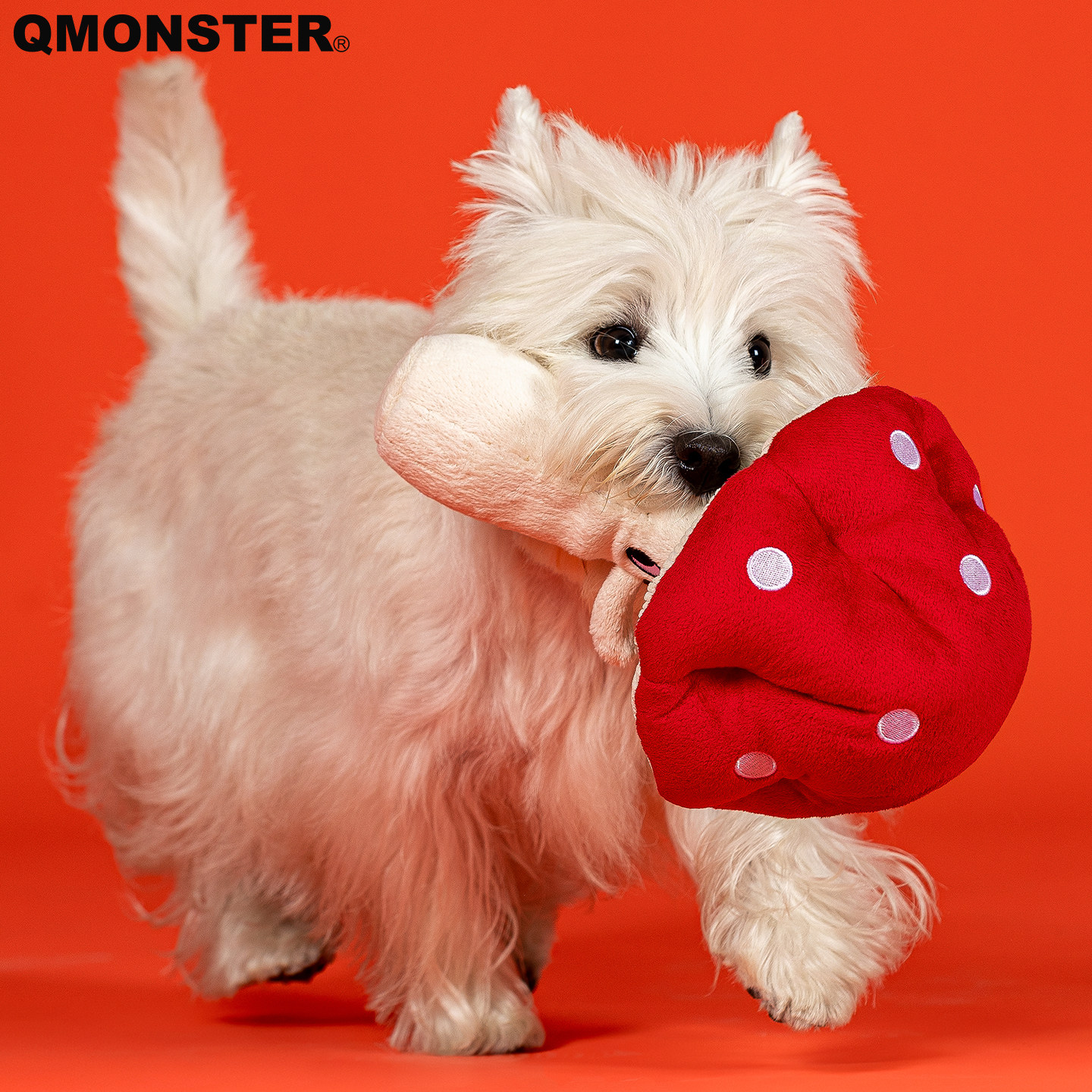 QMONSTER狗狗玩具小狗嗅闻藏食玩具垫大蘑菇响纸益智玩具慢食解闷