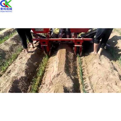 黑龙江大葱种植机自走式大葱移植种葱机葱苗移植机种大葱机器