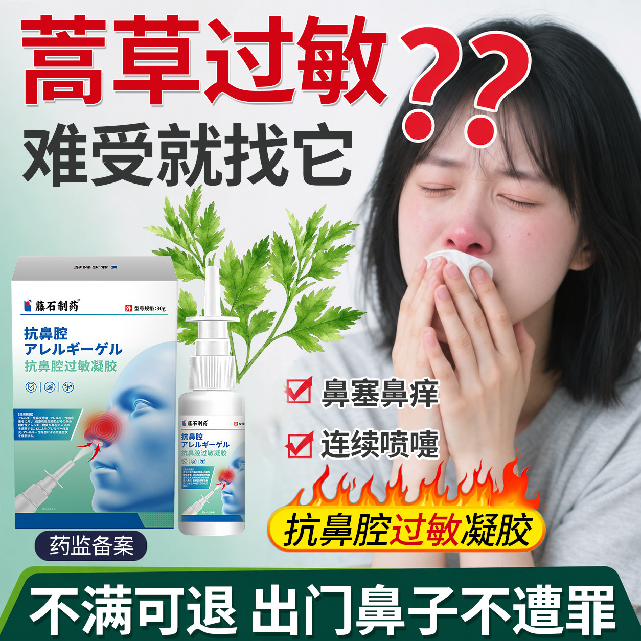 蒿草过敏性鼻炎花粉打喷嚏流鼻涕图片