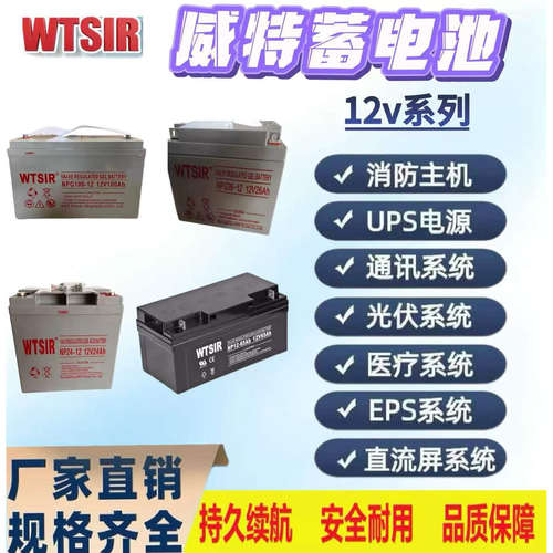 WTSIR威特NPG40-12蓄电池12V