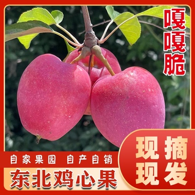 新开园→东北吉林自家果园应季鸡心果龙丰果大秋果苹果沙果海棠果