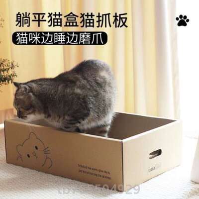 怀孕猫咪繁殖}母猫待产生产宠物纸箱专用围栏猫猫窝猫产房一次性