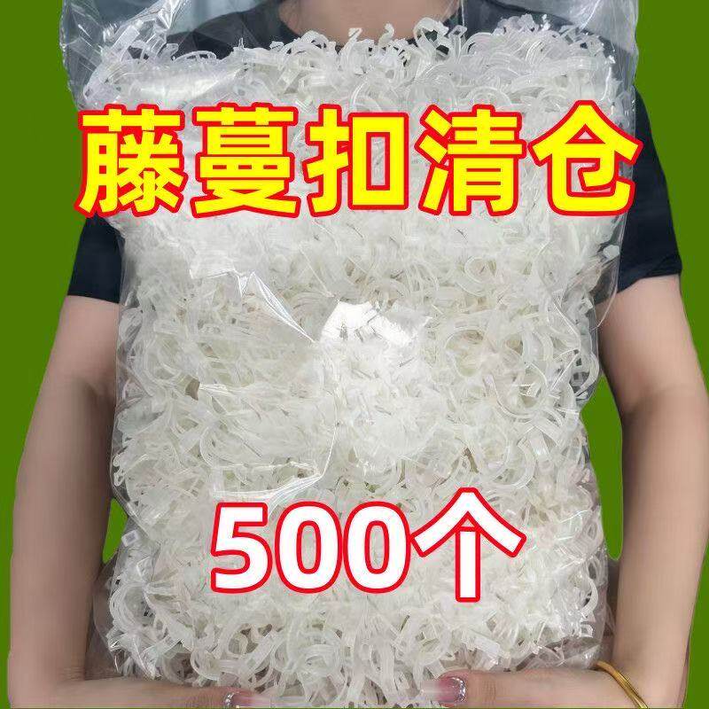 黄瓜西红柿豆角爬藤枝条固定器绿植蔬菜捆绑扎带藤蔓专用园林工具