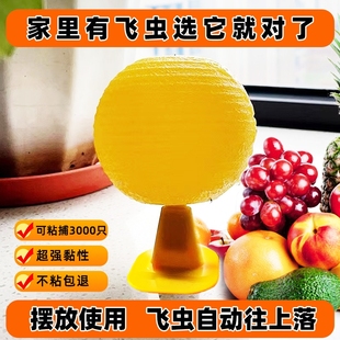 果蝇诱捕器果蝇苍蝇飞虫克星强力效粘虫球室内去除小黑飞灭杀神器