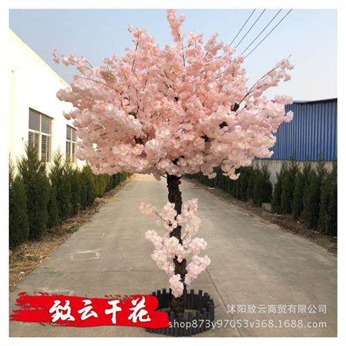 仿真树多层樱花树影楼室内场地道具带栅栏假樱花树盆景大型许愿树