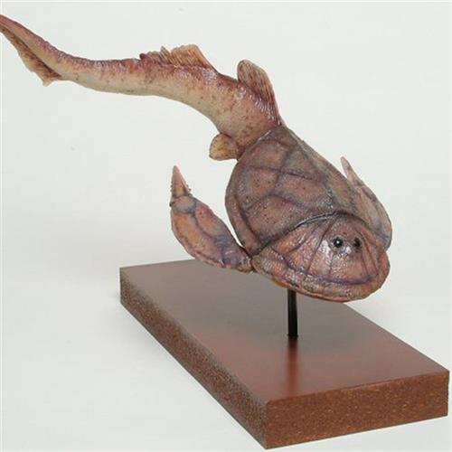 博物馆古生物鱼仿真模型欢迎订购