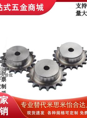 SP35B/BSP35B/SSP35B9/10/11/12/13/14/15/20/25-N/S替怡合达链轮