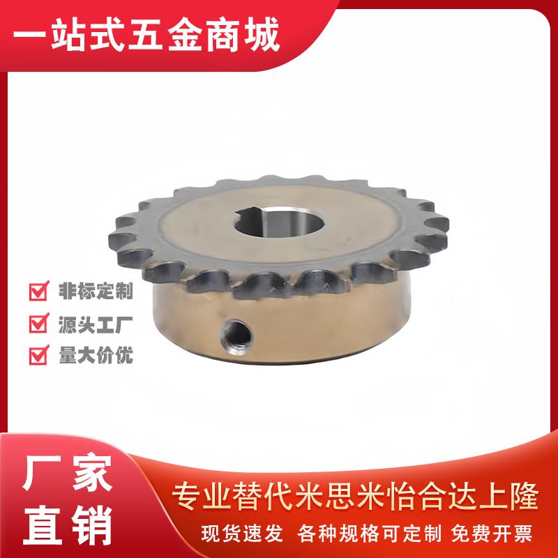 SP40B17/18-N-14/15/16/17/18/19/20/22/24/25/28/30/32/35 链轮