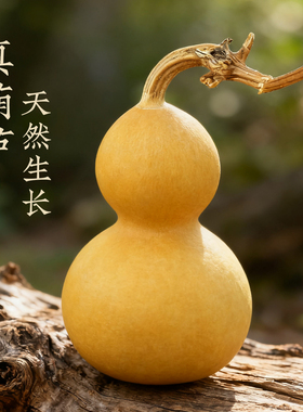 开口带龙头真干小大号天然葫芦摆件手捻车挂件饰开盖闭口异形文玩