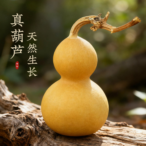 开口带龙头手捻天然葫芦摆件文玩