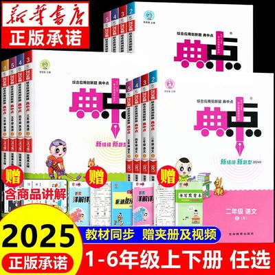 2025秋新版典中点练习册