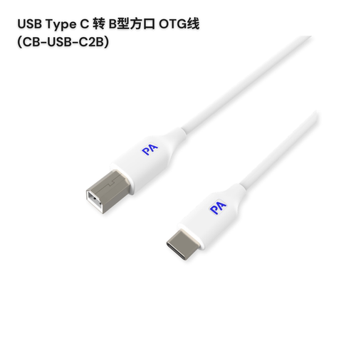 PaintAudio白色OTG线C口直连