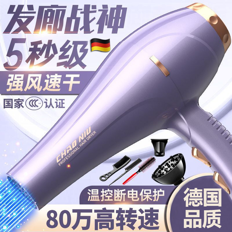 德国FZY电吹风大功率发廊专用吹风机家用负离子护发静音吹风筒