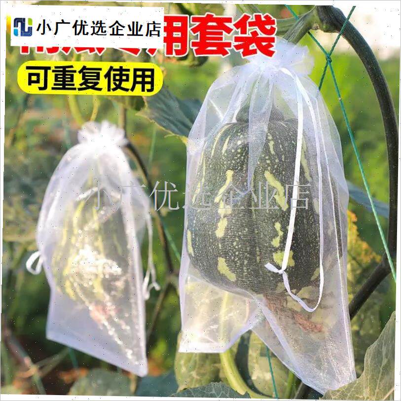 南瓜套袋防虫袋专用网袋尼龙丝防鸟袋子西瓜P冬瓜柚子水果蔬果网\