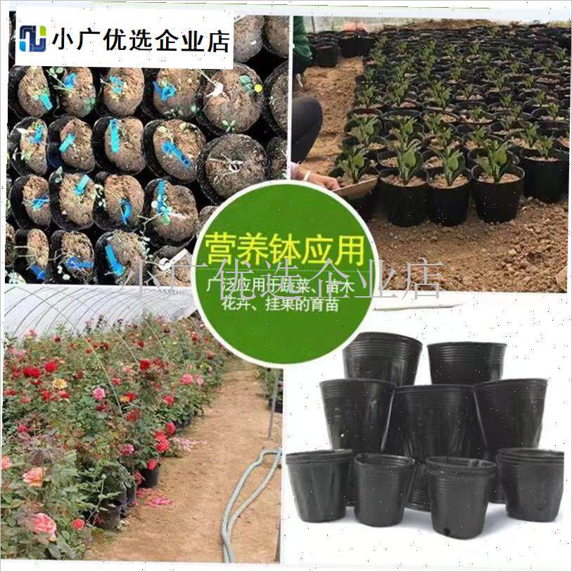 容器杯西瓜杯加厚营养钵t营养杯育苗杯黑色育苗袋一次性塑料扦插\