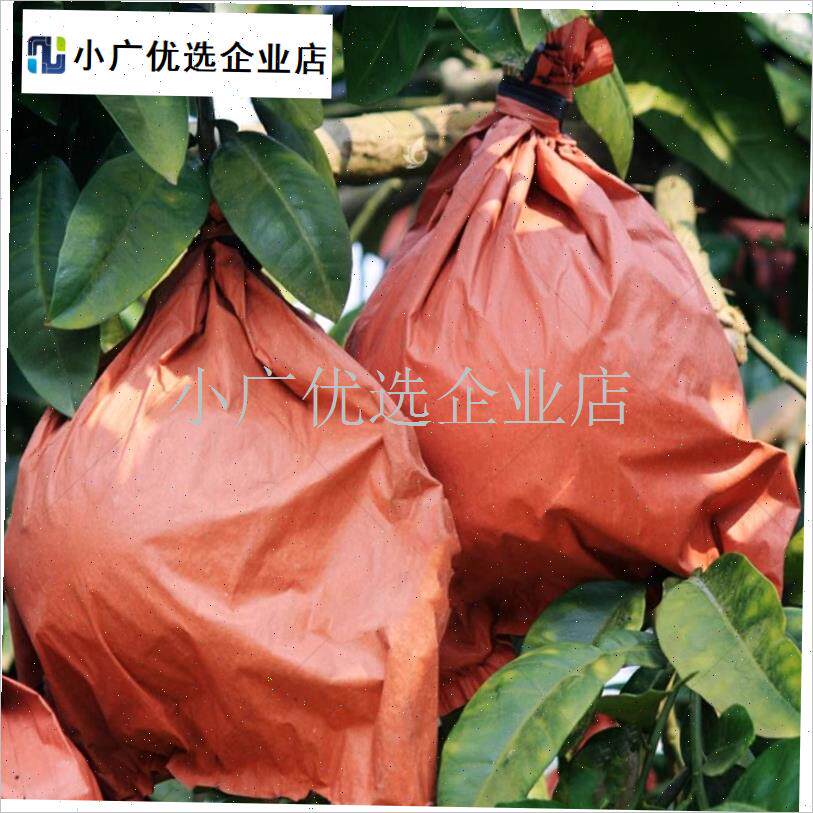 柚子套袋大号专用袋青柚防鸟袋防水沙田J柚水果防虫双层防晒育果\