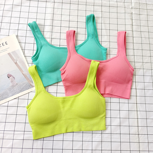 亮色系运动内衣高强度防震训练跑步高弹透气普拉提健身瑜伽文胸女