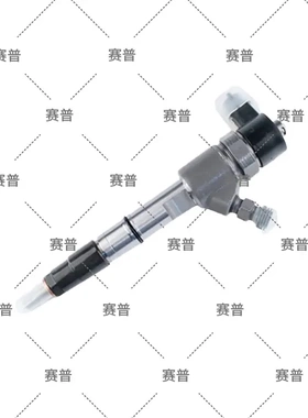 0445110627江铃发动机 配DLLA150P2434喷油嘴 F00VC01359阀组件