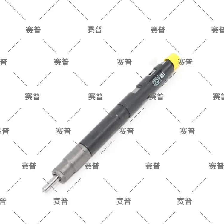 德尔福双龙喷油器EJBR03301D