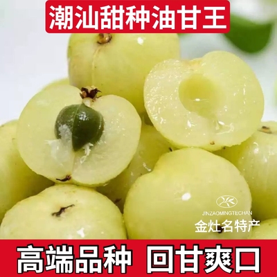 潮汕甜种油甘王新鲜柿饼甜油甘余甘牛甘果生吃榨汁玉油柑孕妇水果