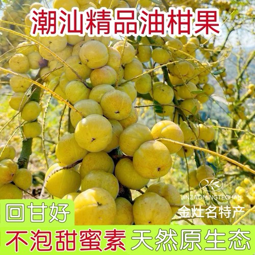 潮汕崩坎油甘果新鲜饼甜余甘子牛甘果滇橄榄甜种丙甜油柑孕妇水果