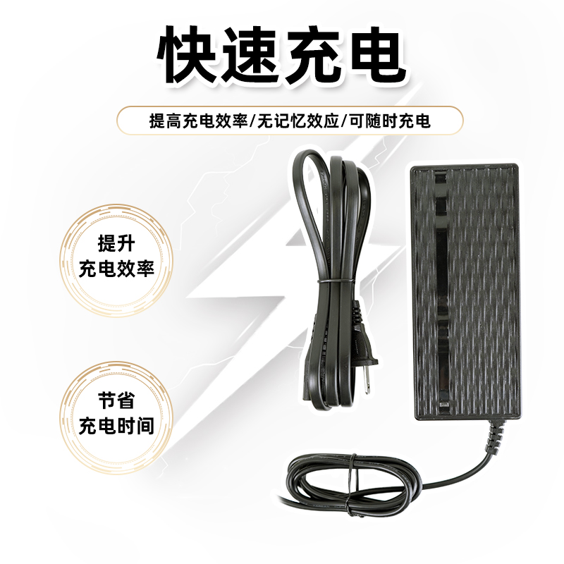 云轮电池充电器自行车电动助力器110V-220V锂电池快充专用款